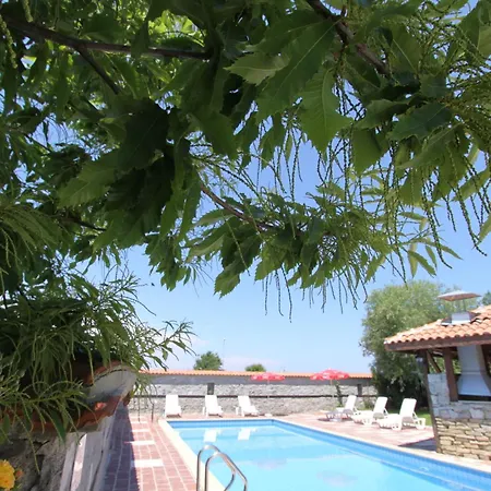 Hotel Asti Arthotel Sinemoretz