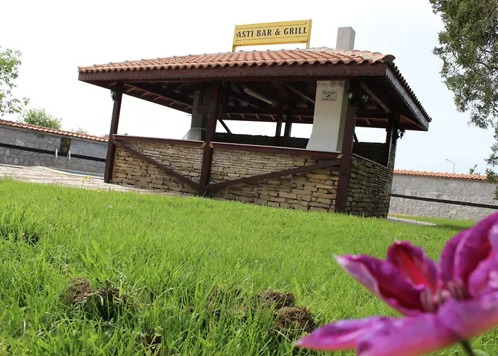 Asti Arthotel 3* Sinemoretz