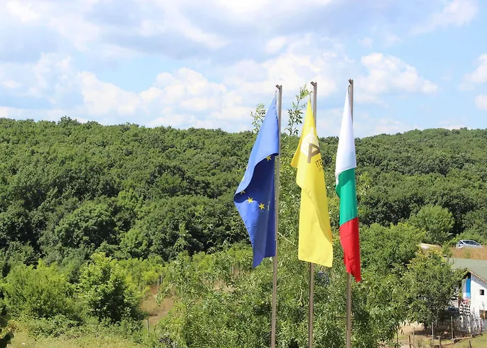 Asti Arthotel 3* Sinemoretz