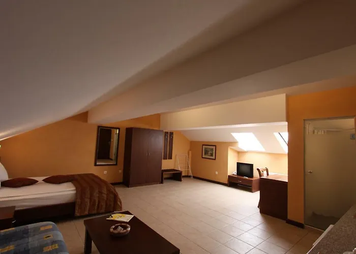 Asti Arthotel 3* Sinemoretz